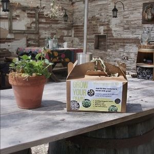 Grow your own indoor Micro-greens Kit